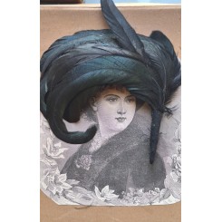 Gammel Fransk Modist Hattepynt. Æske med Fjer (43x28,5x5cm)