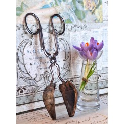 Gammel Kagetang Plets&oslash;lv