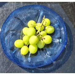 Italiensk Glas Sk&aring;l Fad [H&aring;ndmalet] Bl&aring;