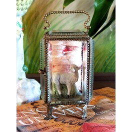 Napoleon lll Fransk Glas-vitrine med Messingkanter [H10,5x6,5x5cm] 