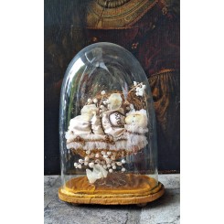 1800' Jesusbarn Voks, i Guld-krybbe [Nonnearbejde] inkl. Glasglobe