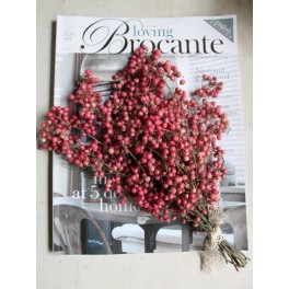 Peberranker ROSA | pr. bundt Peberranker ROSA | pr. bundt