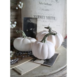 Græskar Pumpkin |Pr stk ass Græskar Pumpkin |Pr stk ass